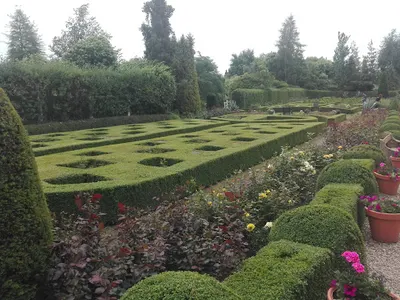 Tomasz Below - Twój piękny ogród